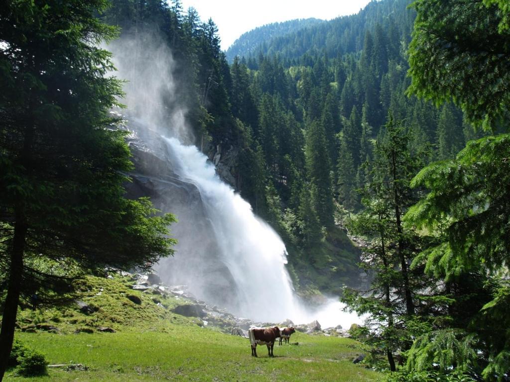 Gaestehaus Scharler Нойкірхен-ам-Гросфенедігер Екстер'єр фото
